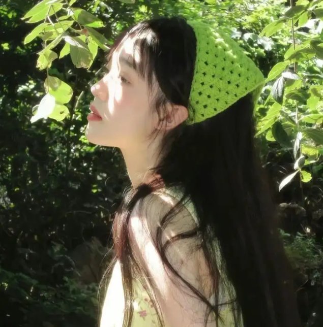 拜访森林